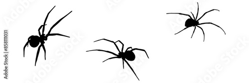 group spider silhouette illustration background for a holloween day