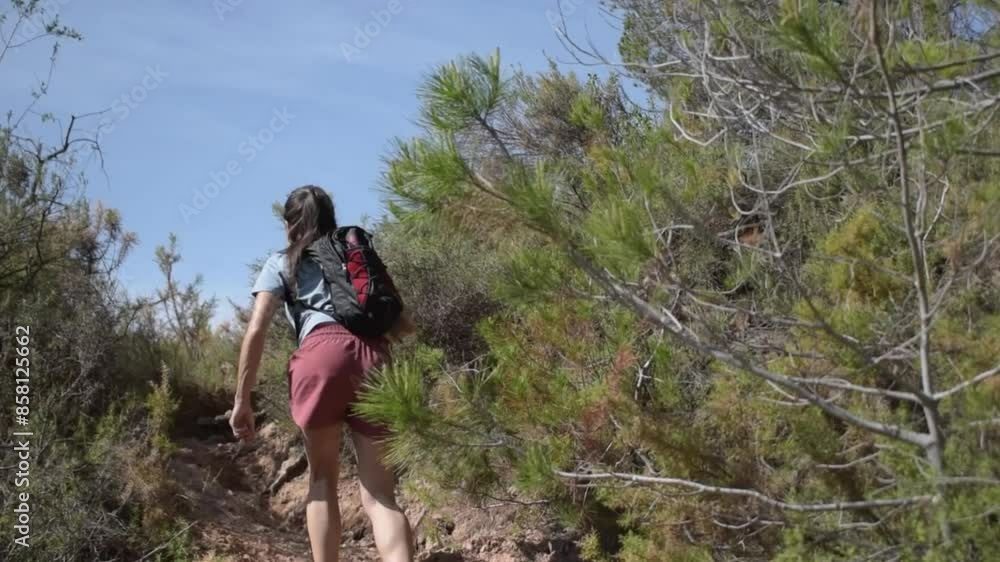Strong caucasian woman walking a slope in a coniferous forest. Slow motion Strong caucasian woman walking a slope in a coniferous forest. Slow motion