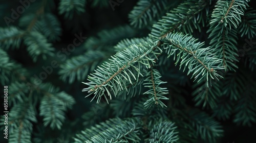 A close-up image of a pine trees branches, showcasing the vibrant green needles and intricate details SEAMLESS PATTERN