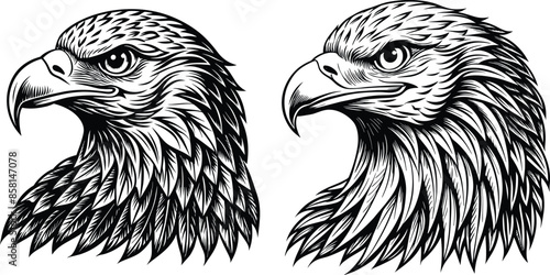 Eagle Head Hundting Vector editable coloring page lineart , Side View Silhouette