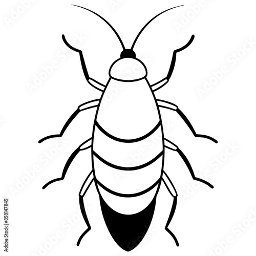 Madagascar hissing cockroach vector