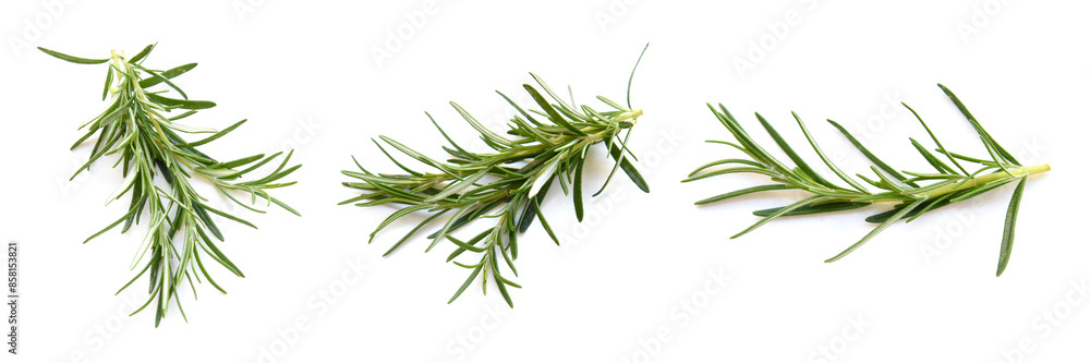 Fresh green rosemary isolated on white background, top view. Aromatic herb. Healthy food concept. Fresh green rosemary isolated on white background, top view. Aromatic herb. Healthy food concept.