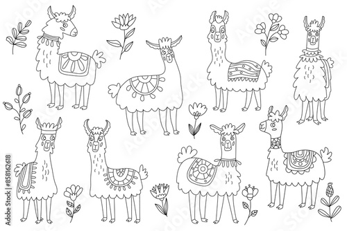 Doodle set with cute llamas or alpacas and flowers. Vector hand drawn illustration, isolated black outline. Great for coloring.