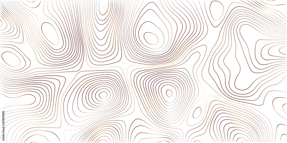 Transparent PNG Topographic line map. Modern design with White background with topographic wavy pattern design. Transparent PNG Topographic line map. Modern design with White background with topographic wavy pattern design.