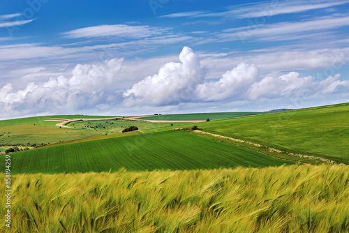Rolling hills at the Deverills in Wiltshire