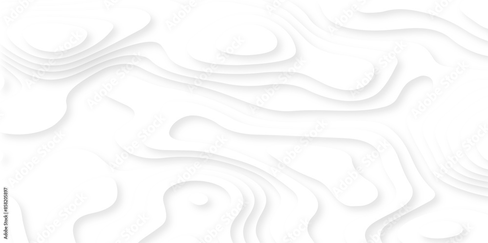 Luxury abstract lines Modern white carve wave line abstract luxury 3d papercut background. vector minimal topography map light element shadow landscape wave element curve graphic papercut design. Luxury abstract lines Modern white carve wave line abstract luxury 3d papercut background. vector minimal topography map light element shadow landscape wave element curve graphic papercut design.