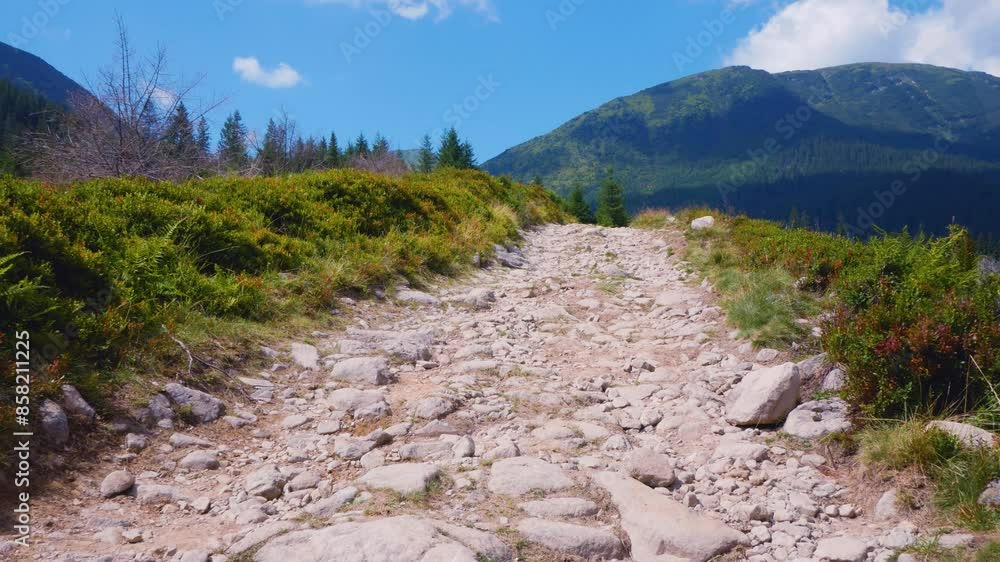 The traveler walks along a mountain road and enjoys a beautiful view The traveler walks along a mountain road and enjoys a beautiful view