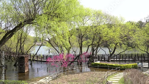 Spring of Seonam Lake Park in Ulsan, Korea photo