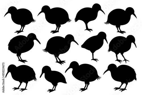 Kiwi Bird Silhouette Vector set, set of kiwi bird animal Vector illustration