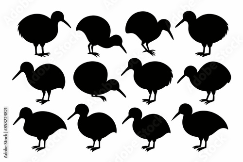 Kiwi Bird Silhouette Vector set, set of kiwi bird animal Vector illustration


