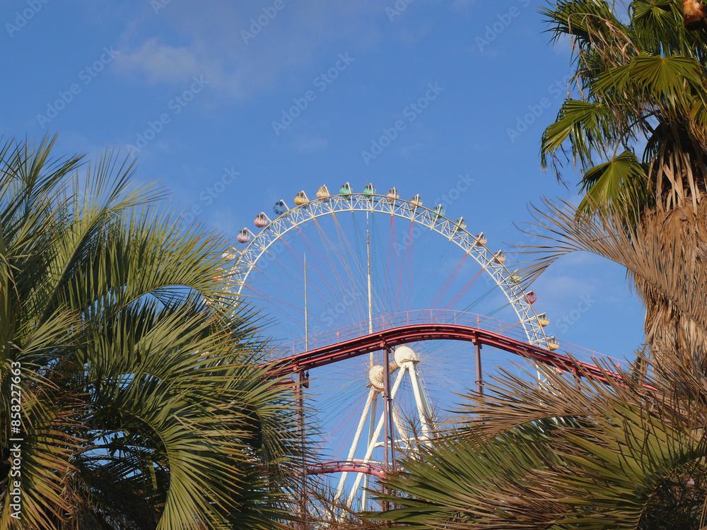 Fototapeta premium 山頂の観覧車とジェットコースター。 倉敷市鷲羽山ハイランド。