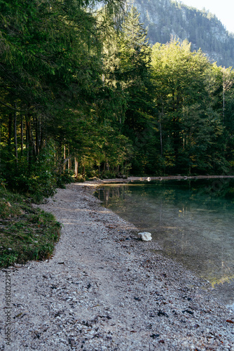 Scenic Forest Path Along Clear Mountain Lake photo