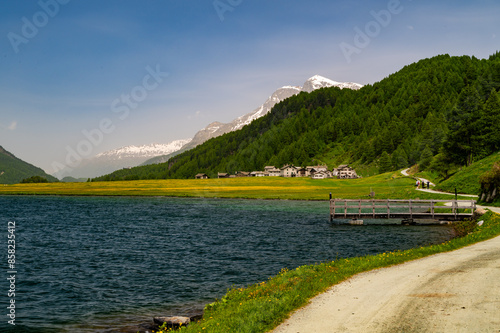 The village of Isola in summer, on Lake Sils, Engadin, Switzerland. photo