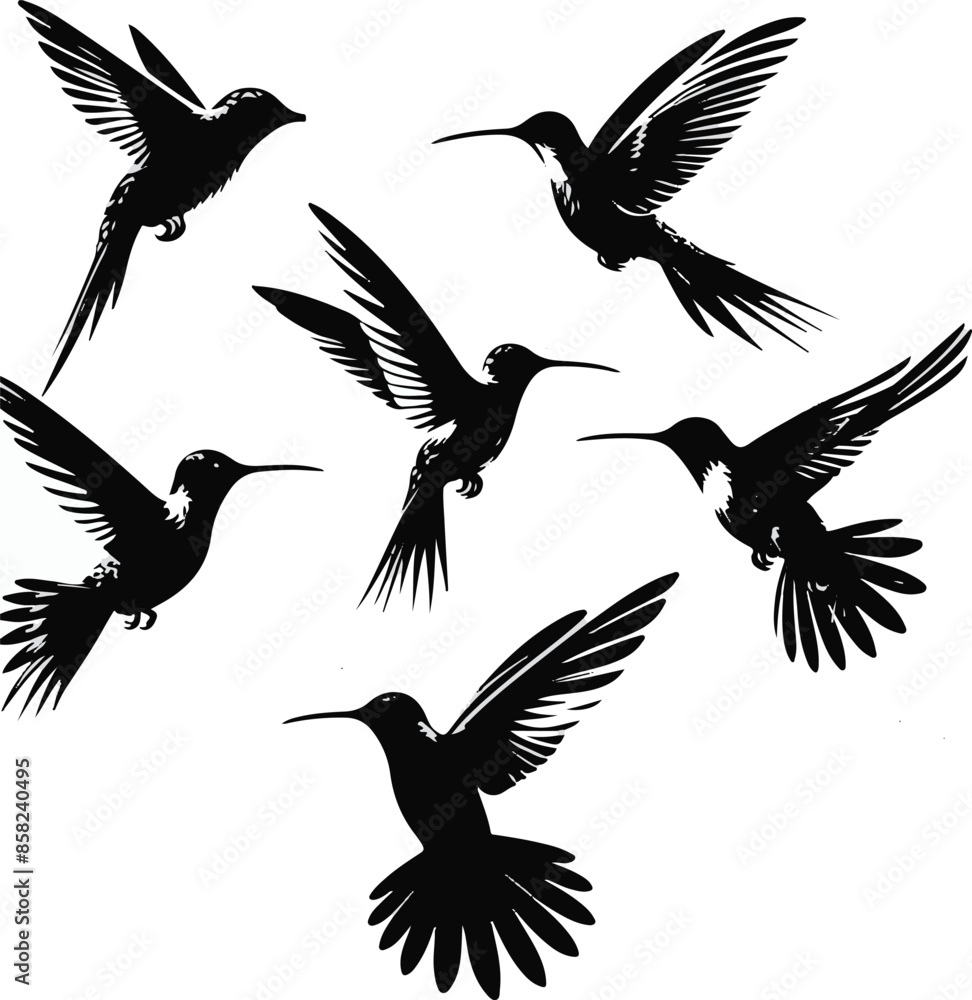 Obraz premium Hummingbird Silhouettes set.