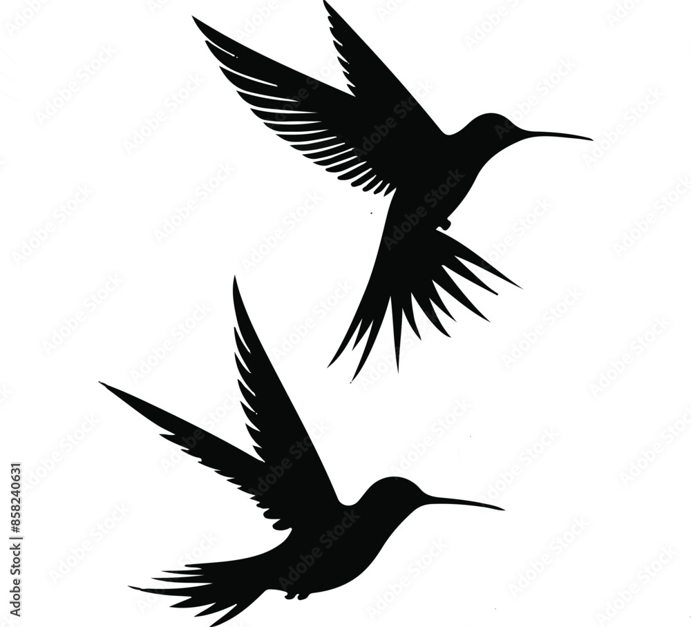 Obraz premium Two Hummingbird Silhouettes.