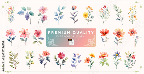 High-quality watercolor wildflowers and leaf grass. Beautiful decoration watercolor floral and leaf elements for design, poster, growth, invitation, wedding and card design. Vector EPS illustrator.	