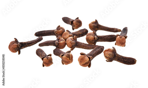 Spice cloves transparent png