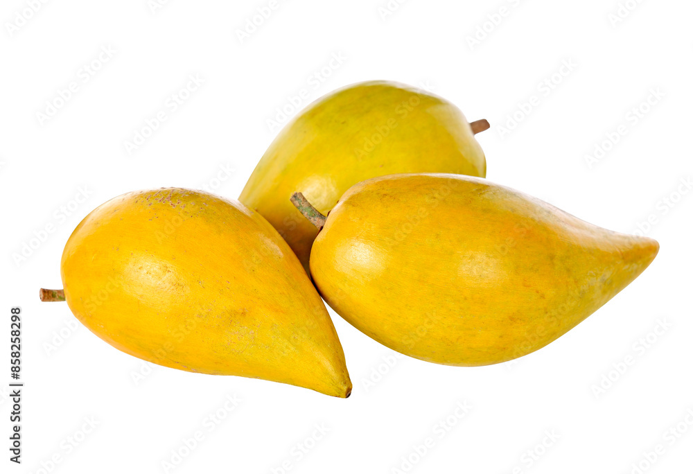 Egg fruit, Canistel, Yellow Sapote (Pouteria campechiana (Kunth) Baehni) transparent png Egg fruit, Canistel, Yellow Sapote (Pouteria campechiana (Kunth) Baehni) transparent png