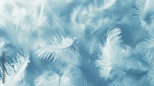 background of delicate blue color feathers arranged in a minimalist style photo