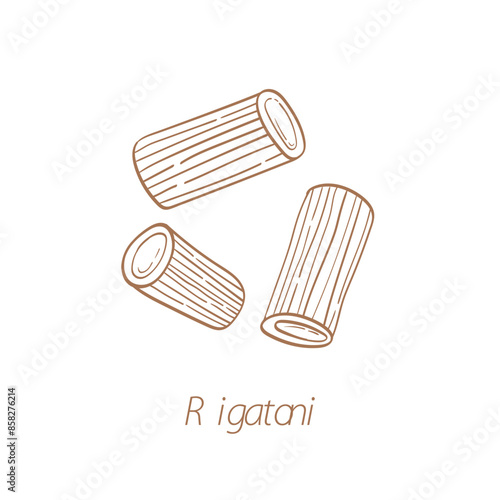 Rigatoni pasta illustration. Vector sketch. Traditional Italian food. Hand-drawn image. Isolated icon