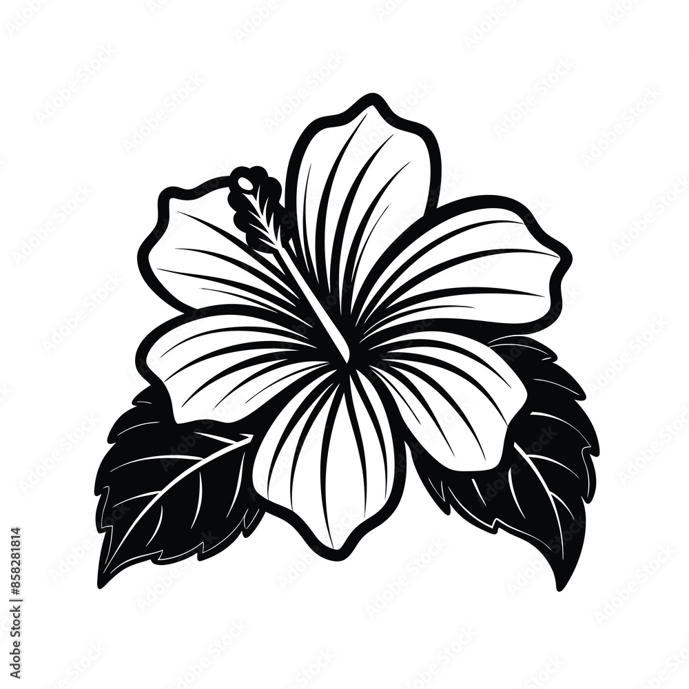 Obraz premium Hibiscus flowers in a vintage woodcut engraved etching style. Vector illustration.