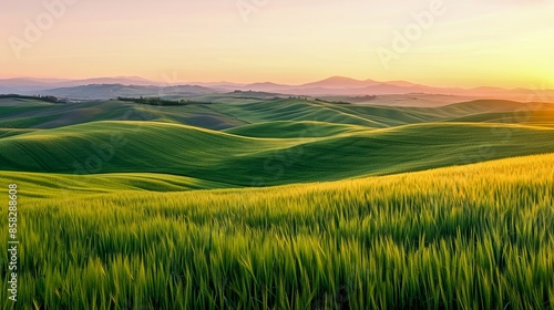 Stunning landscape of rolling green hills at sunrise, spring scenery in vibrant colors. Perfect for nature lovers.