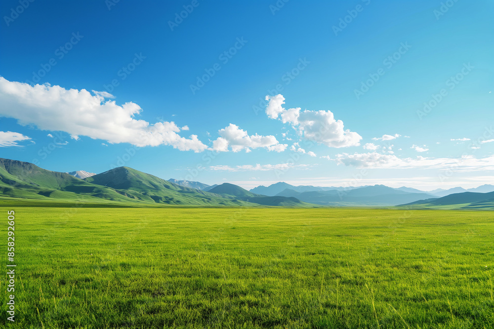 Fototapeta premium Summer alpine grasslands with blue sky and white cloud background
