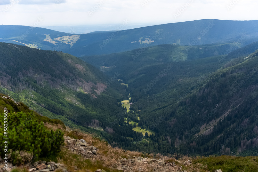 Fototapeta premium Landscape with trees and mountains. Beautiful green valley in the mountains. Mountain background. Hiking and traveling. High quality photo