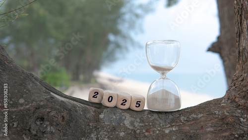 Welcoming the Year 2025