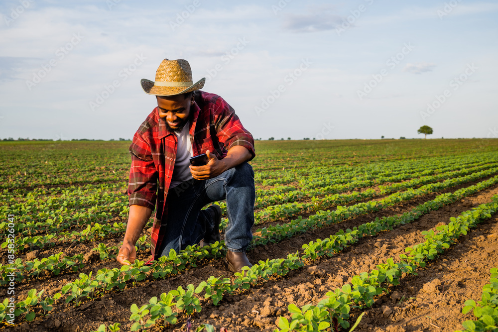 Fototapeta premium Young farmer using mobile phone in his growing soybean field.