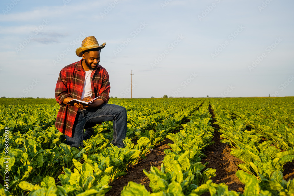 Fototapeta premium Young farmer is writing notes in his growing spinach field. 