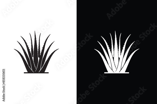 Aloe Vera plant with leaves flat icon Vector silhouette.