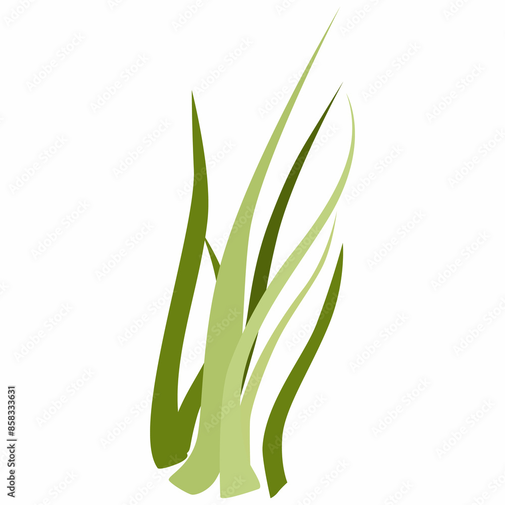 Grass plant design for banners and menus Grass plant design for banners and menus