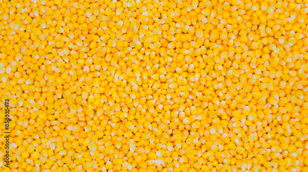 Tightly packed fresh, bright sweet corn in a minimalist composition, filling the frame with its golden yellow kernels. Emphasizes its sweetness and appetizing appearance, suitable as a background.
Tightly packed fresh, bright sweet corn in a minimalist composition, filling the frame with its golden yellow kernels. Emphasizes its sweetness and appetizing appearance, suitable as a background.