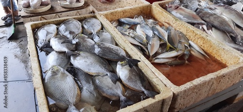 Activities of the Muara Angke retail fish market center in Jakarta. Traders sell various kinds of fish, crabs, squid, shrimp, shellfish photo