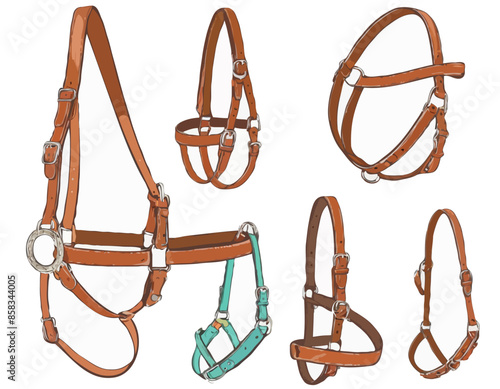 color illustrations with leather halter, headstall, bridle. Isolated vector objects photo