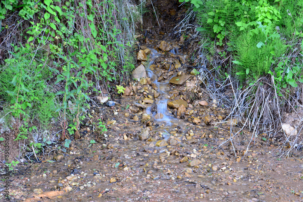 a stream of water is running through the woods a stream of water is running through the woods