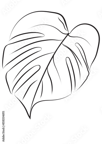 Monstera leaf vector outline monochrome illustration, eps line art clipart isolated on transparent background. Floral drawing for logo, cosmetic, print. Botanical hand drawn black and white sketch