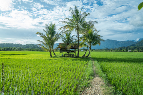 Green rice fields are surrounded by mountains with green coconut trees near a makeshift shelter. photo