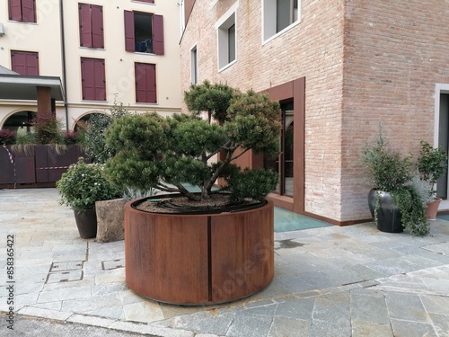 Grande vaso di fiori in corten