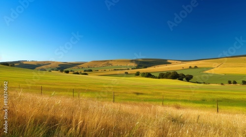 A picturesque rural landscape featuring golden fields and vibrant green grass under a clear blue sky