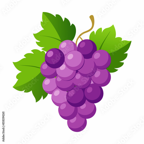 Grape purple color cartoon illustration vector