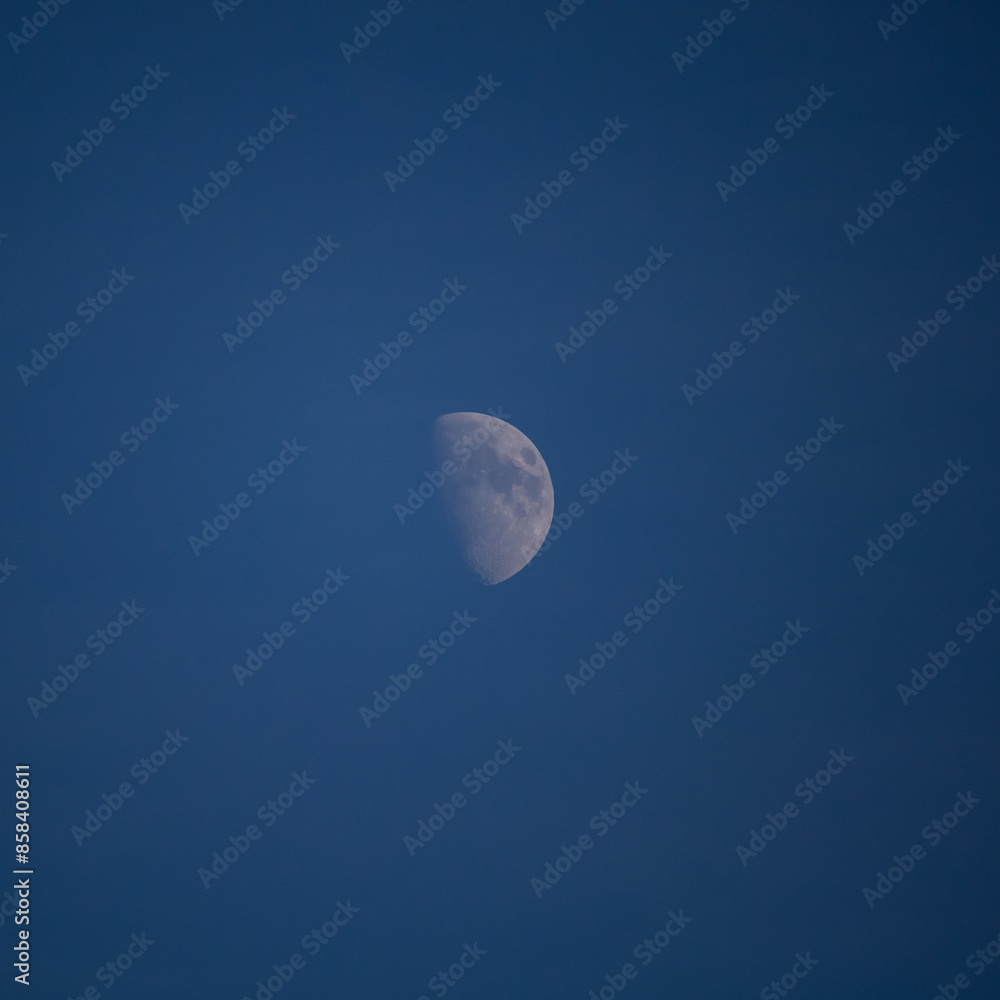 The first quarter of a summer moon. The first quarter of a summer moon.