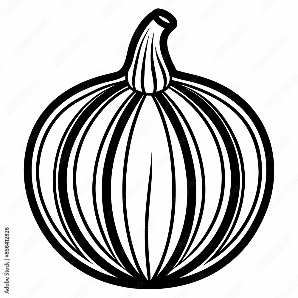 Simple clean squash icon vector illustration. Simple clean squash icon vector illustration.