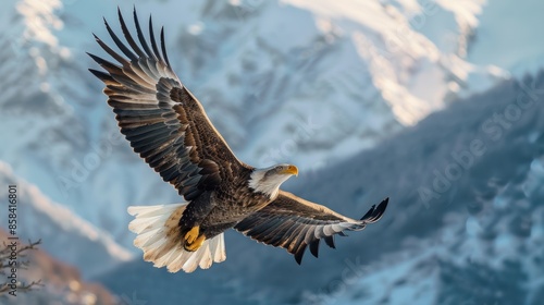 An eagle soared high above the mountain.