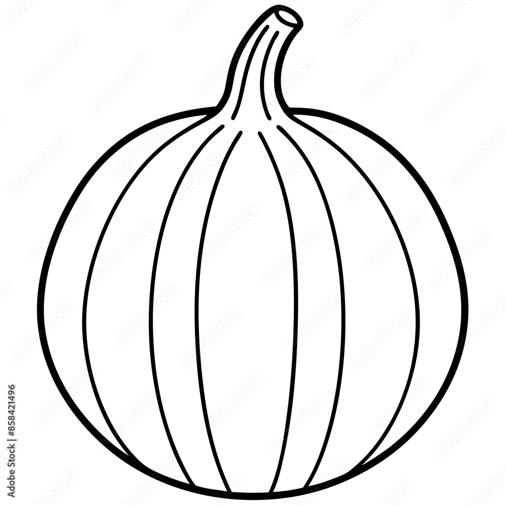 Simple clean squash icon vector illustration. Simple clean squash icon vector illustration.