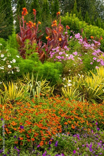 Cosmos (Cosmos bipinnatus Cav) and other flowers blooming at the Oregon Garden in Silverton, Oregon