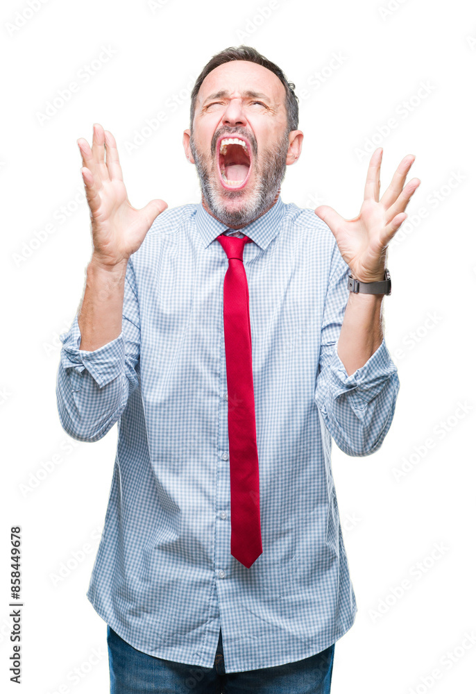 Middle age hoary senior business man wearing red tie over isolated background crazy and mad shouting and yelling with aggressive expression and arms raised. Frustration concept. Middle age hoary senior business man wearing red tie over isolated background crazy and mad shouting and yelling with aggressive expression and arms raised. Frustration concept.