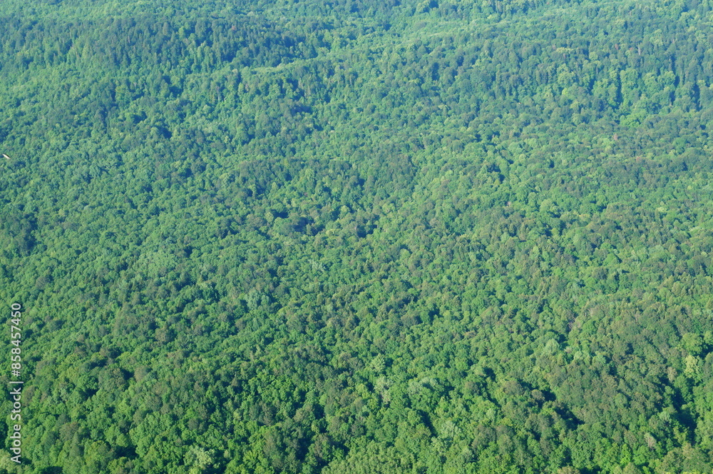 Obraz premium A picturesque view of a clearing with trees. A view of the landscape.