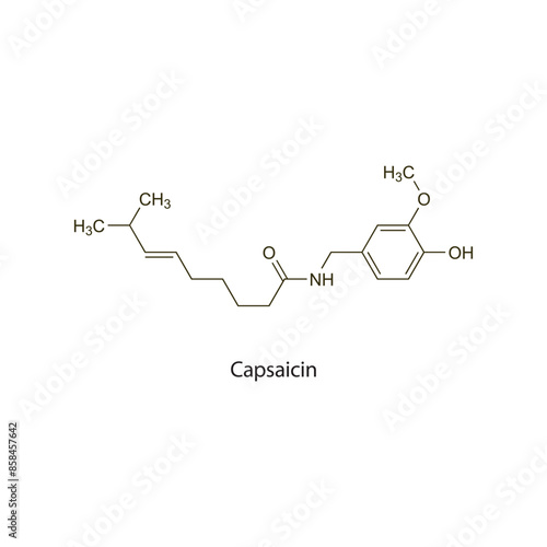 Capsaicin flat skeletal molecular structure Rubefacient agent drug used in pain treatment. Vector illustration scientific diagram.